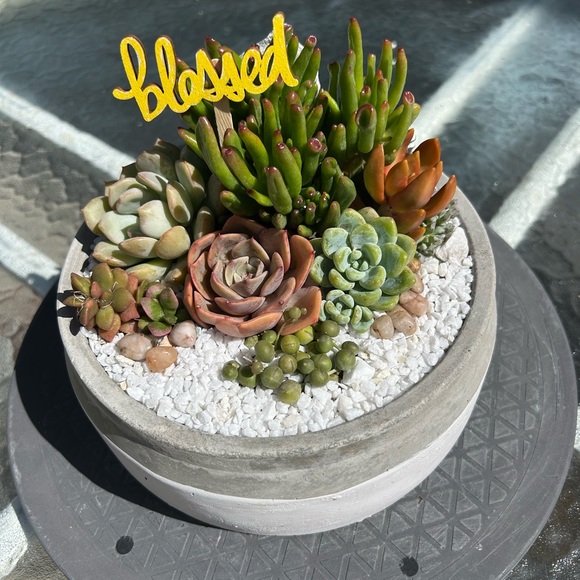 Meet your Posher, Nina - Picture 6 of 13